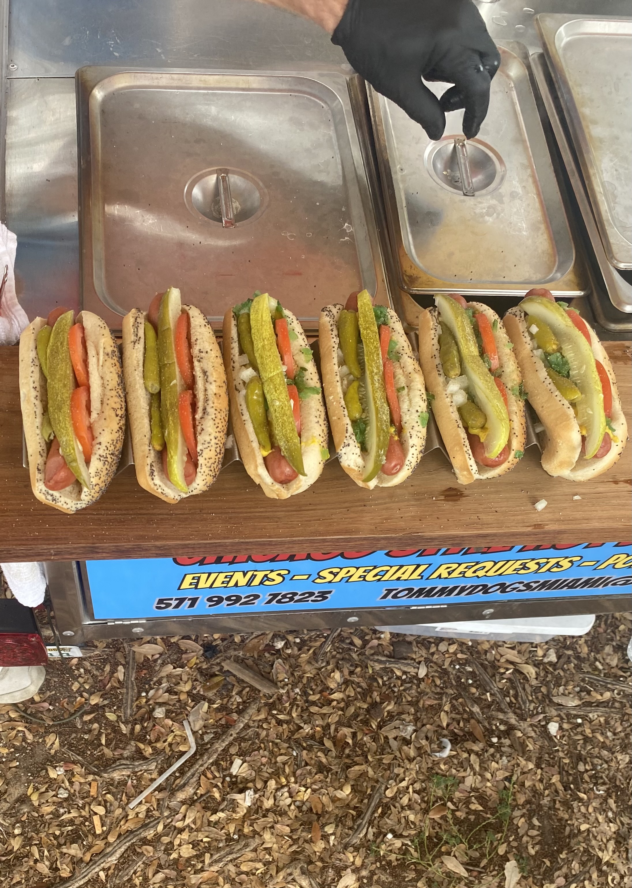 Hot Dogs